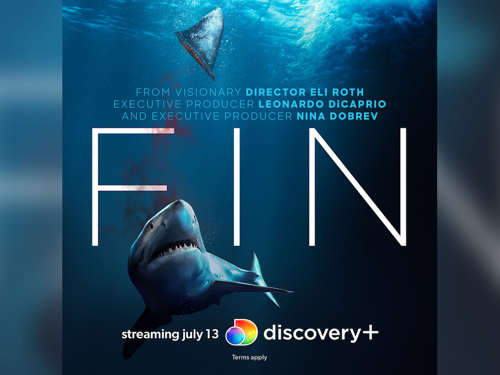 ‘Fin’ (2021) Review