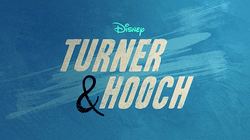 ‘Turner and Hooch’ Season 1 Episode 9 ‘Witness Pup-Tection’&nbsp;Review